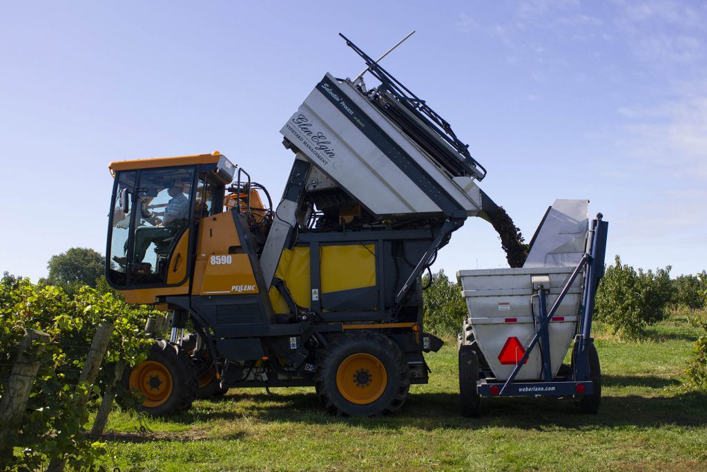 Machine Harvester Dumping